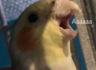 🅰️