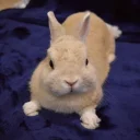 😚