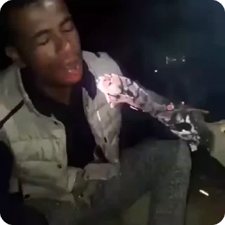 🌟