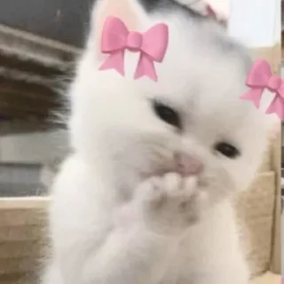 😍