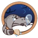 😴