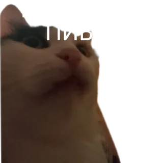 🤔