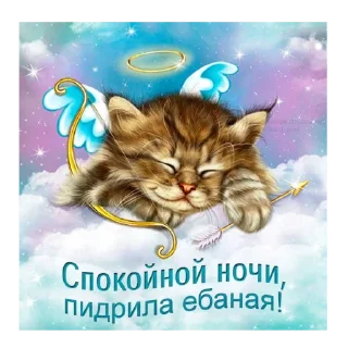 😴