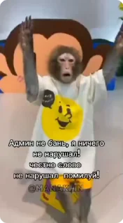 🙏