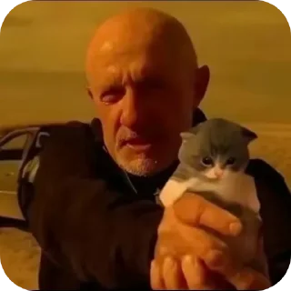 ✋