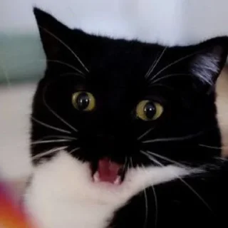 👹