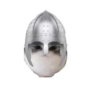 🤺