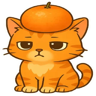 🍊
