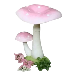 🍄
