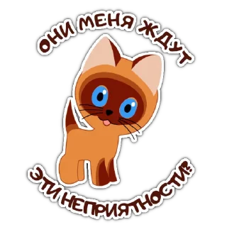 kittennamedwoof