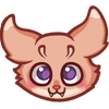 The Fennec Fox