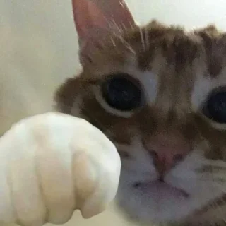 😃