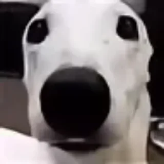 😖