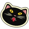 playful cat