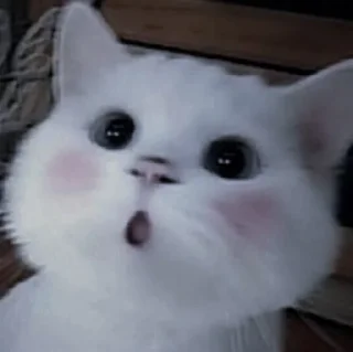 💗