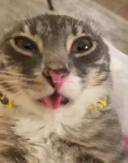 😳