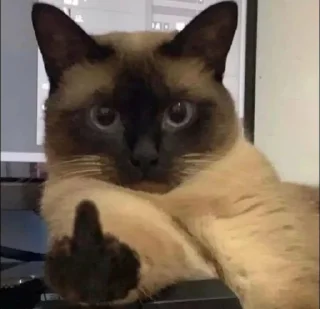 🖕