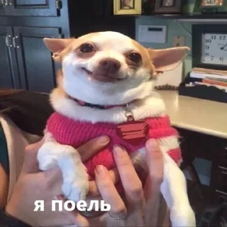 ☺️