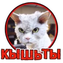😾
