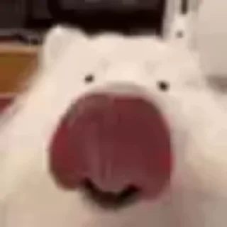 👅