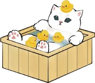 🛁