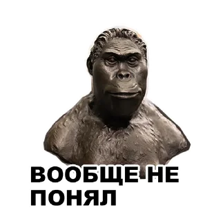 🤨
