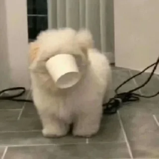 🤪
