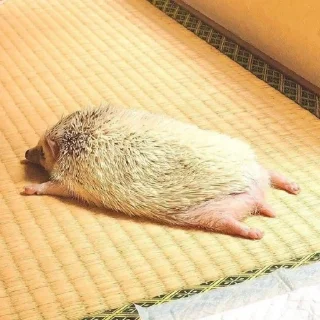 😩
