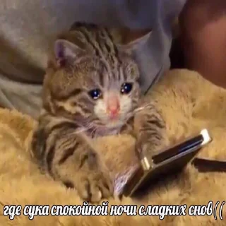 😢