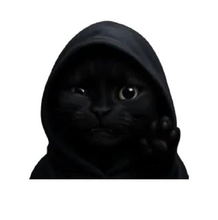 👋