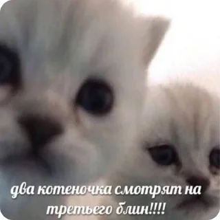 👀