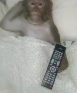 😏
