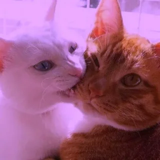 💜