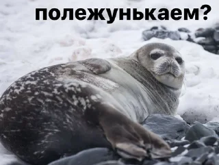 😏