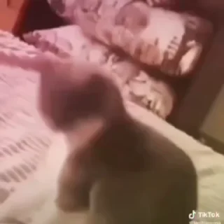 😂
