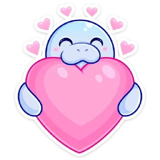 ❤️
