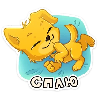 😴