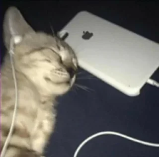 🎧