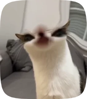 👀