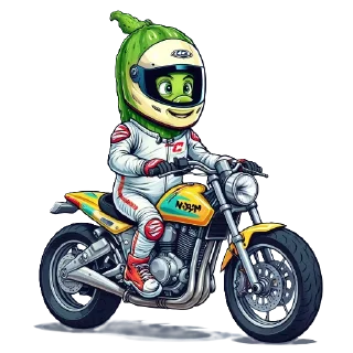 🏍