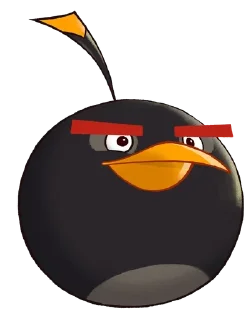 💣