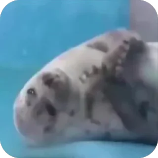 😁