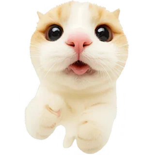 😋