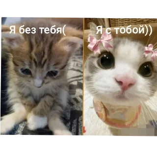 🥰