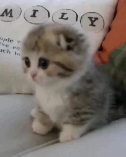 😕
