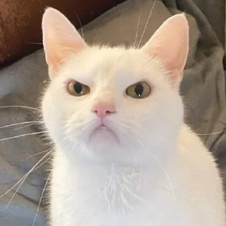 ☹️