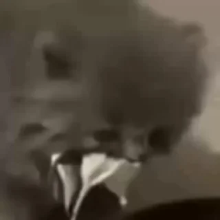 😳