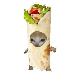 🌯