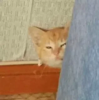 🤨
