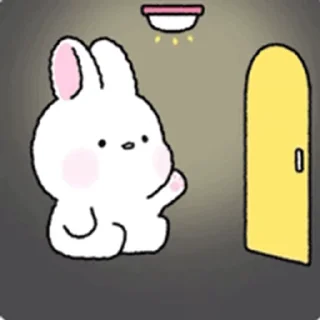 💡